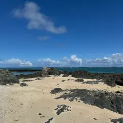 バリ石（バリイシ）