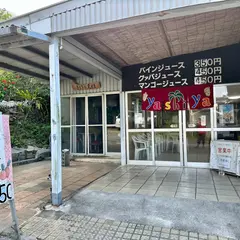 やし屋