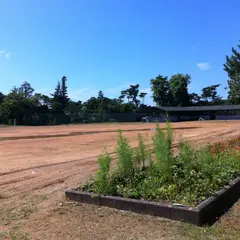 島の楽校