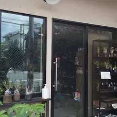 アクアショップフィン
