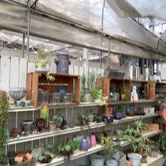 堀越農園
