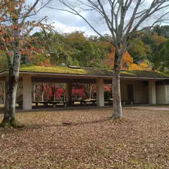 宝が池公園 いこいの森