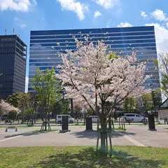 中野四季の森公園イベントエリア