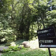 鱒の家