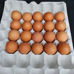 （株）大北養鶏場