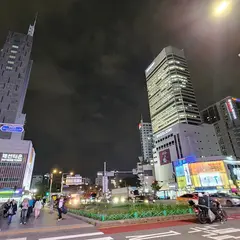 ION HOTEL