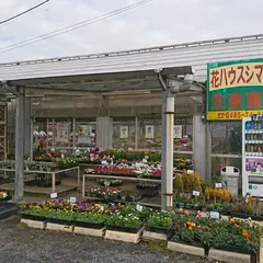 花ハウスシマムラ