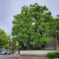 あなぶきパーク高知追手筋パーキング