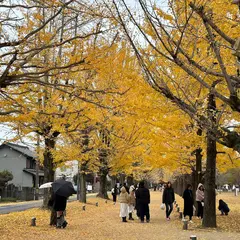 学びの森プロムナード