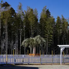 花と里山ドッグラン jumping dog