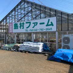 （有）島村ファーム