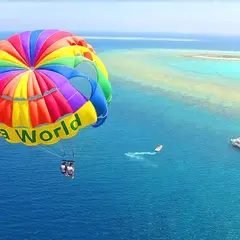Sea World（シーワールド）