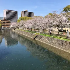 城西公園