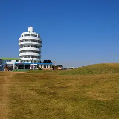 潮岬望楼の芝