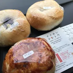 ナナホシテントウ