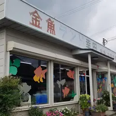 金魚ランド幸田
