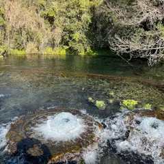 三又親水緑地
