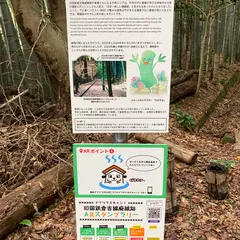 倉吉線廃線竹林