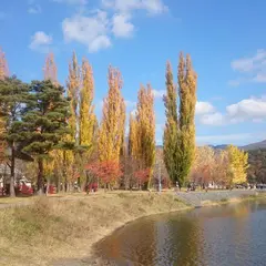 大池公園