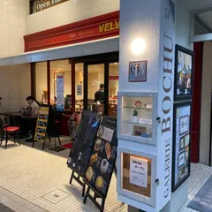 ギャラリーボチュー