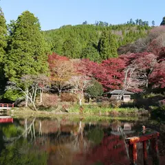 鳥見山公園