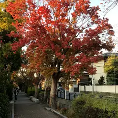 大阪府立山本高等学校