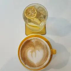 Yellow Camel