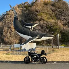 ジョン万次郎ら漂流出航の浦