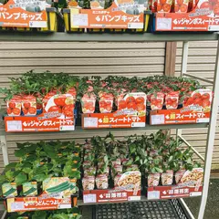 花と緑 ガーデン ヒデマル
