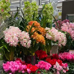 FLORAデイリーカナートイズミヤ伏見店