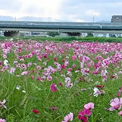 水城跡 駐車場