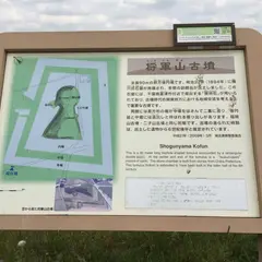 将軍山古墳展示館