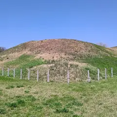 奥の山古墳