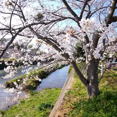 御油の松並木 駐車場