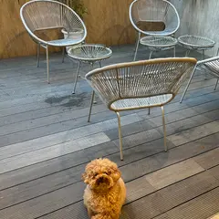 mug cafe 北浜店