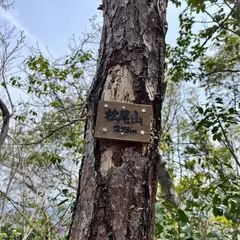 松尾山