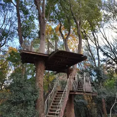 陽楽の森