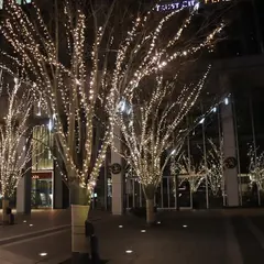 TURUST CITY PLAZA