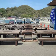 魚稚