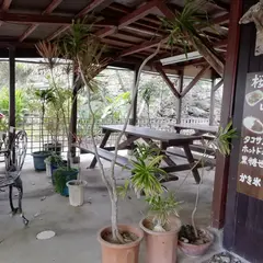桜 パーラー