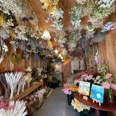 くろさわ図鑑┊いわき市小名浜の花屋・フラワーギフト・ドライフラワー