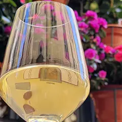 Buchetta del Vino