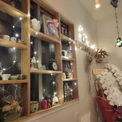 晩酌 あや屋