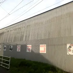 山田養鶏 山ちゃん卵