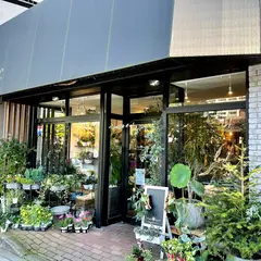 ｈａｎａｍａｔｓｕｒｉ （旧 花まつり 有限会社千葉商店）