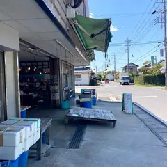カネマサ水産