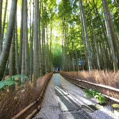 報国寺