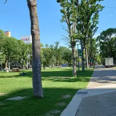シバフヒロバ