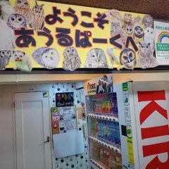 あうるぱーく　フクロウカフェ 池袋
