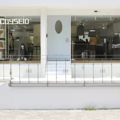 코이세이오